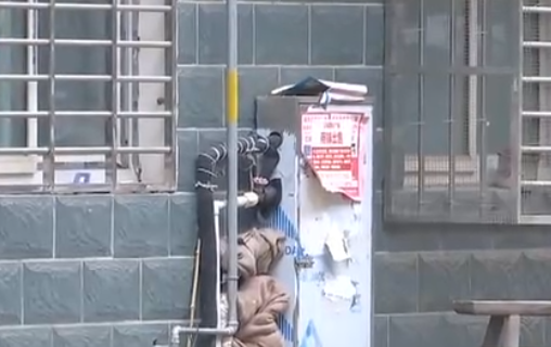 自來水管道保溫電伴熱帶，冬季管道防凍新寵(圖2)